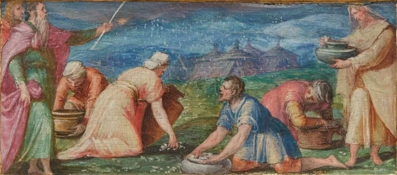 Manna dal cielo